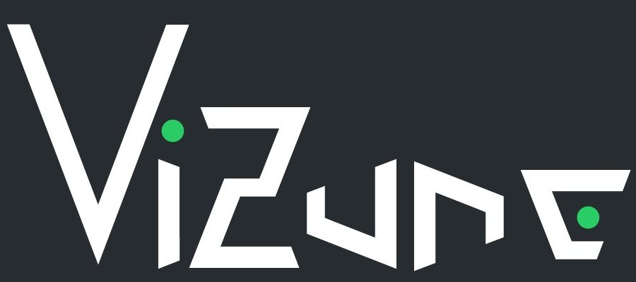 Elements of the Vizune logo can spell out the name